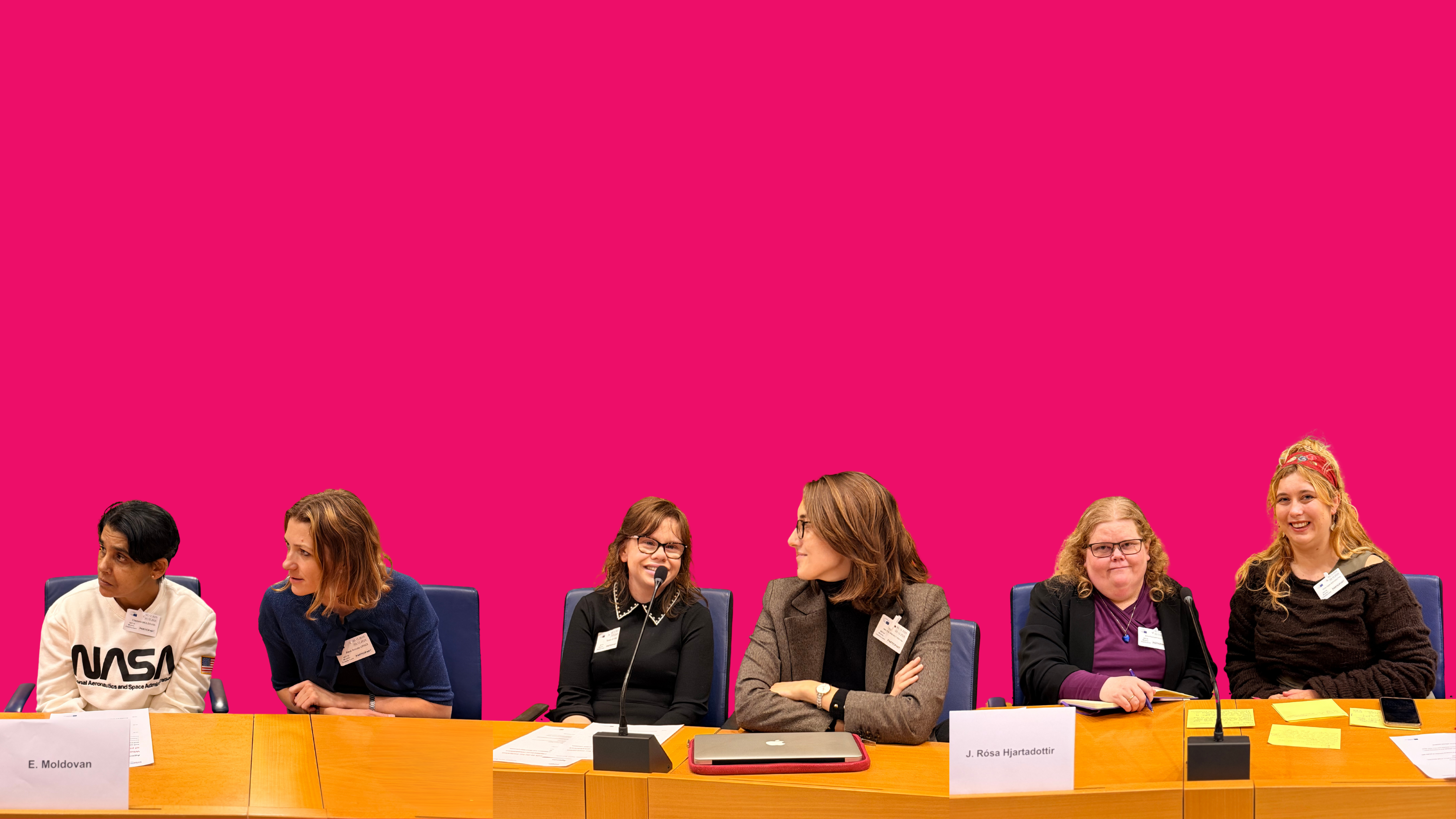 self-advocates in European Parliament with their support persons