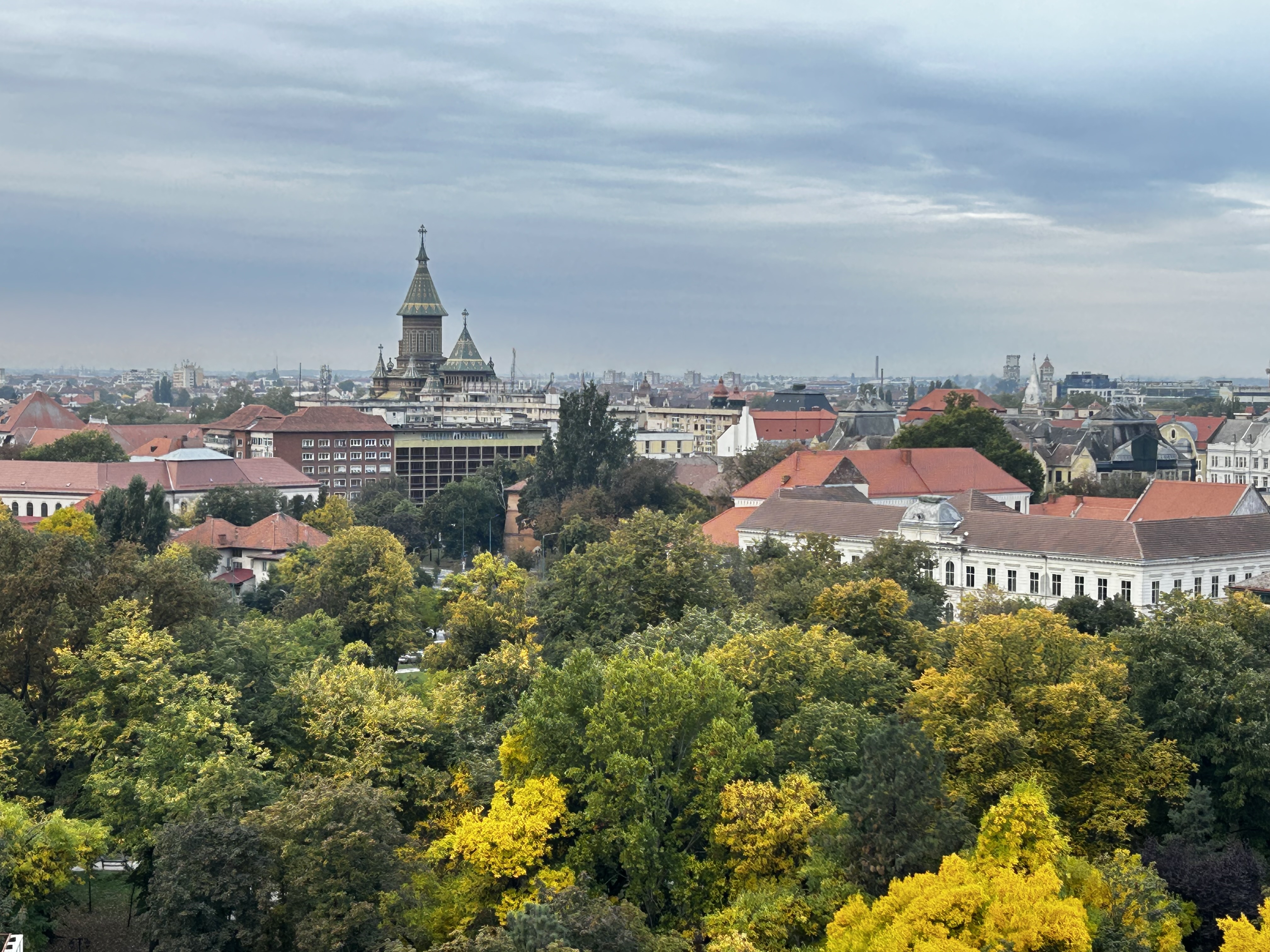A view of Timisoara: Trees, buildings