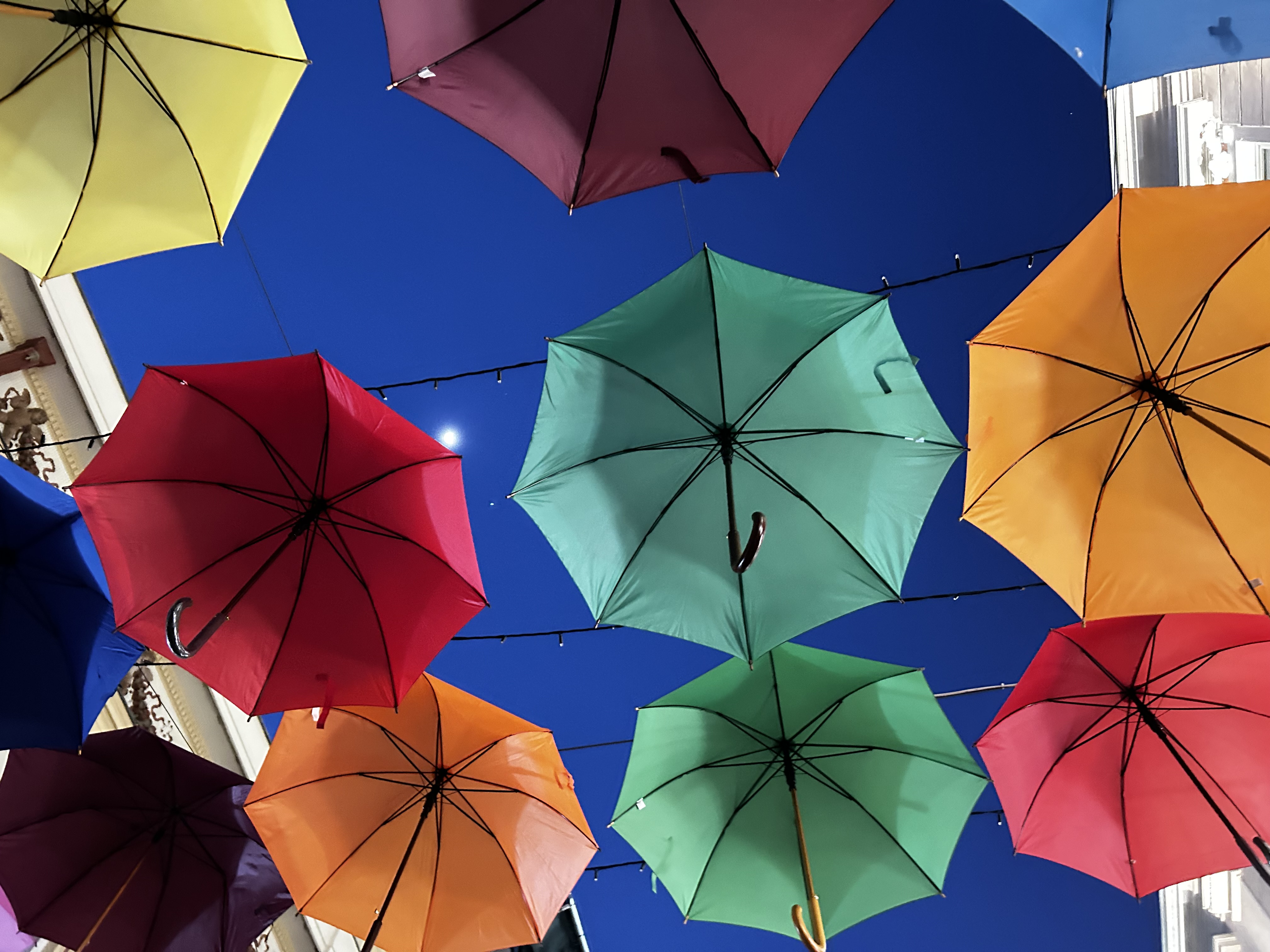 Umblellas hanging over a street. Different colours